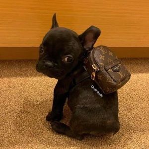 louis vuitton backpack bracelet